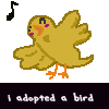 a bird